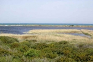 "Le Cesine" Natural Reserve and Porto Cesareo (Le)